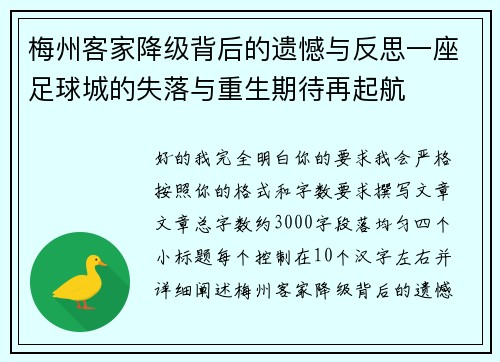 梅州客家降级背后的遗憾与反思一座足球城的失落与重生期待再起航